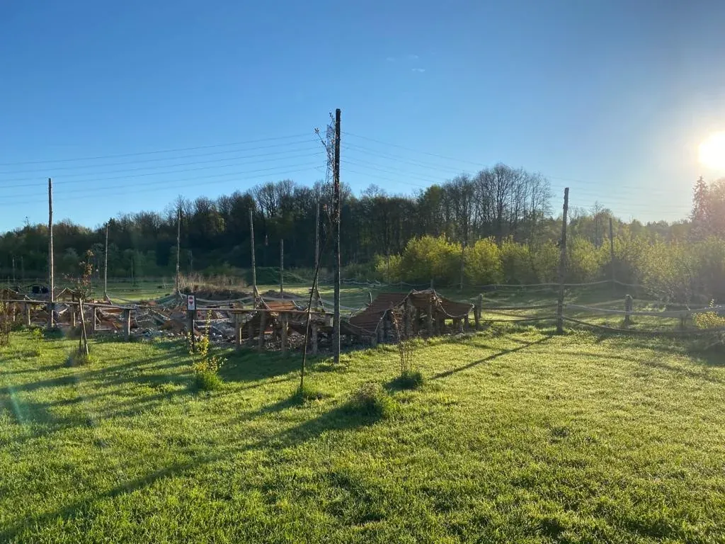 Dzieci podczas zajęć survivalowych w Arenie Mocy