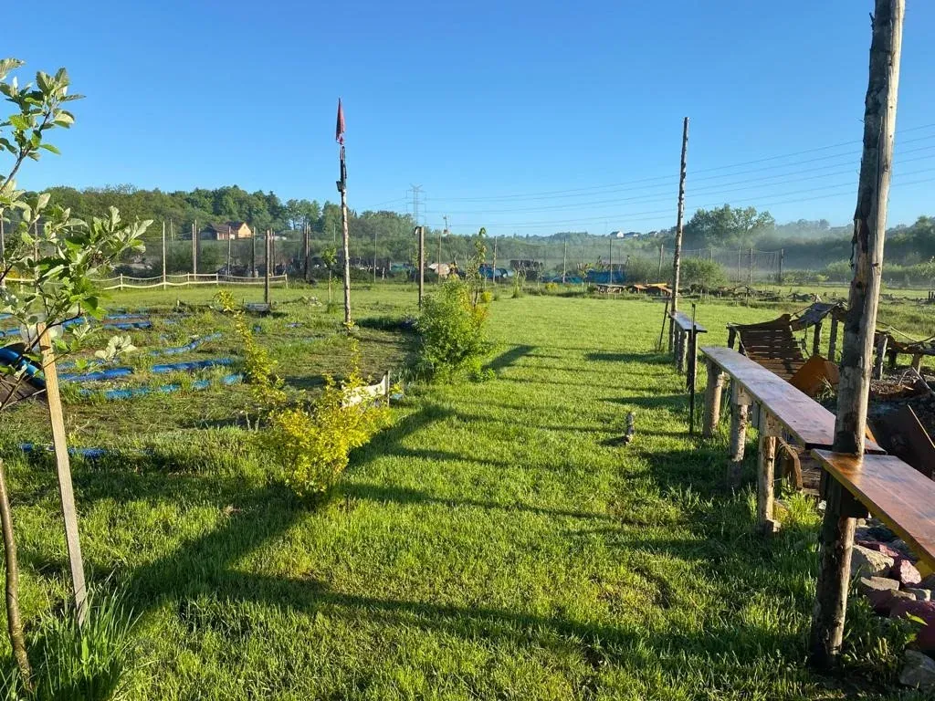 Wycieczki szkolne paintball