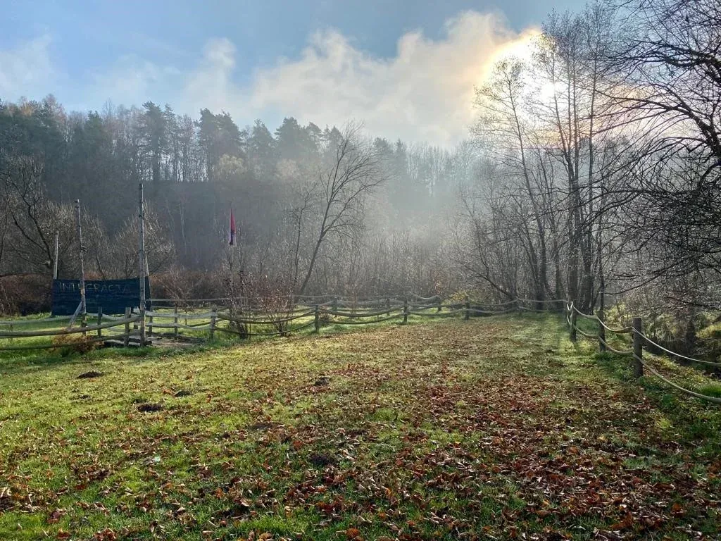 Profesjonalne wyposażenie paintballowe w Arenie Mocy